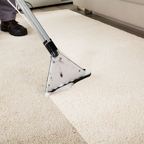 carpet cleaning home