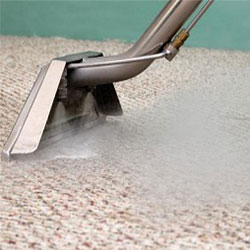 carpet steam cleaning