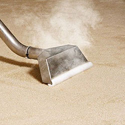carpet steam cleaning
